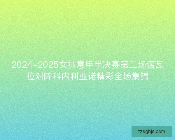2024-2025女排意甲半决赛第二场诺瓦拉对阵科内利亚诺精彩全场集锦