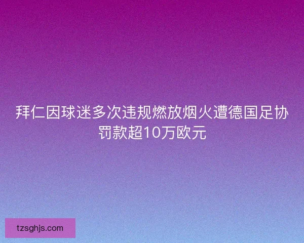 拜仁因球迷多次违规燃放烟火遭德国足协罚款超10万欧元